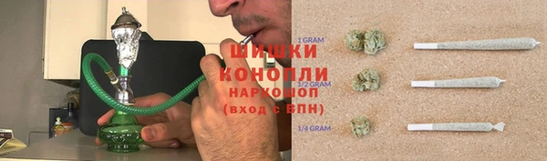молекула духа Краснослободск