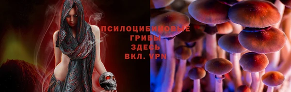 молекула духа Краснослободск