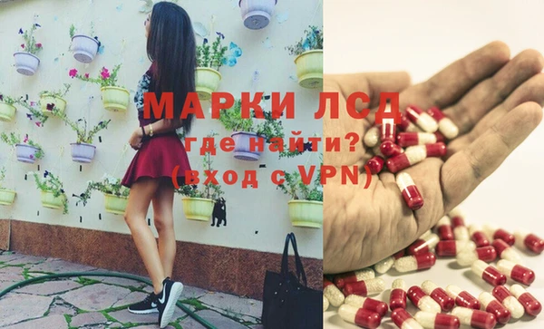 дживик Козловка
