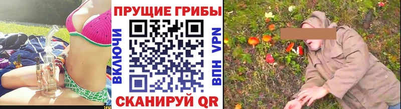 Псилоцибиновые грибы Magic Shrooms  где продают   blacksprut маркетплейс  Лукоянов 